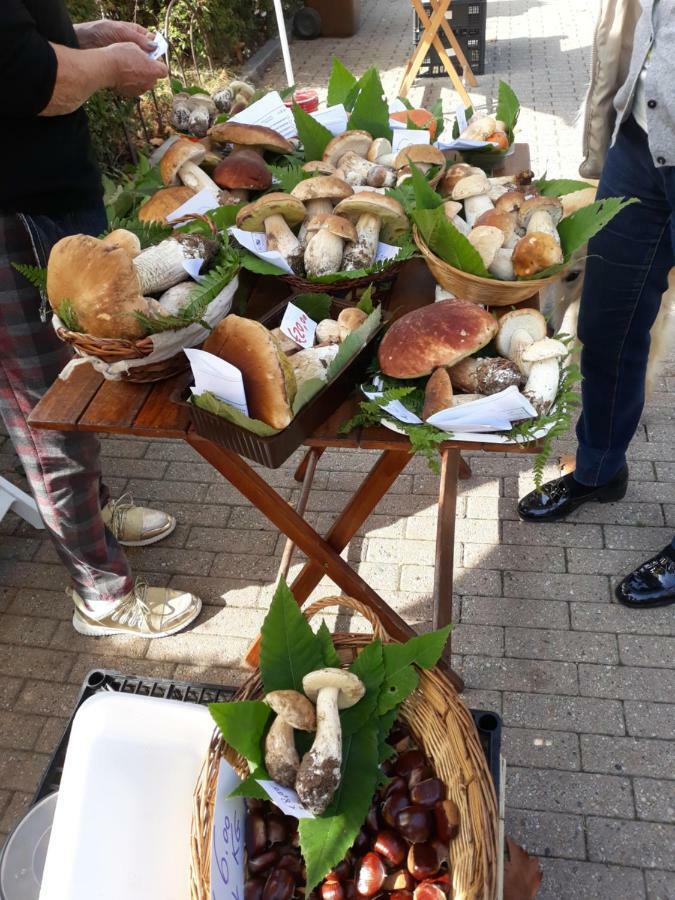 Giaveno, Apartment "Margherite" A Pochi Passi Dal Centro, Wifi Bagian luar foto